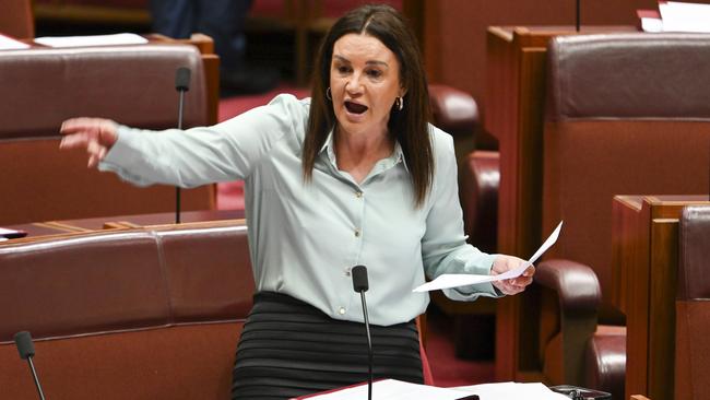 CANBERRA, AUSTRALIA  - NewsWire Photos - November 28, 2024: Senator Jacqui Lambie in the Senate at Parliament House in Canberra. Picture: NewsWire / Martin Ollman