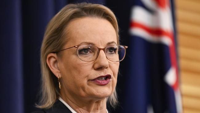 Opposition Leader Sussan Ley says there are ‘no scapegoats’ for the Coalition’s decimation at the federal election. Picture: NewsWire / Martin Ollman