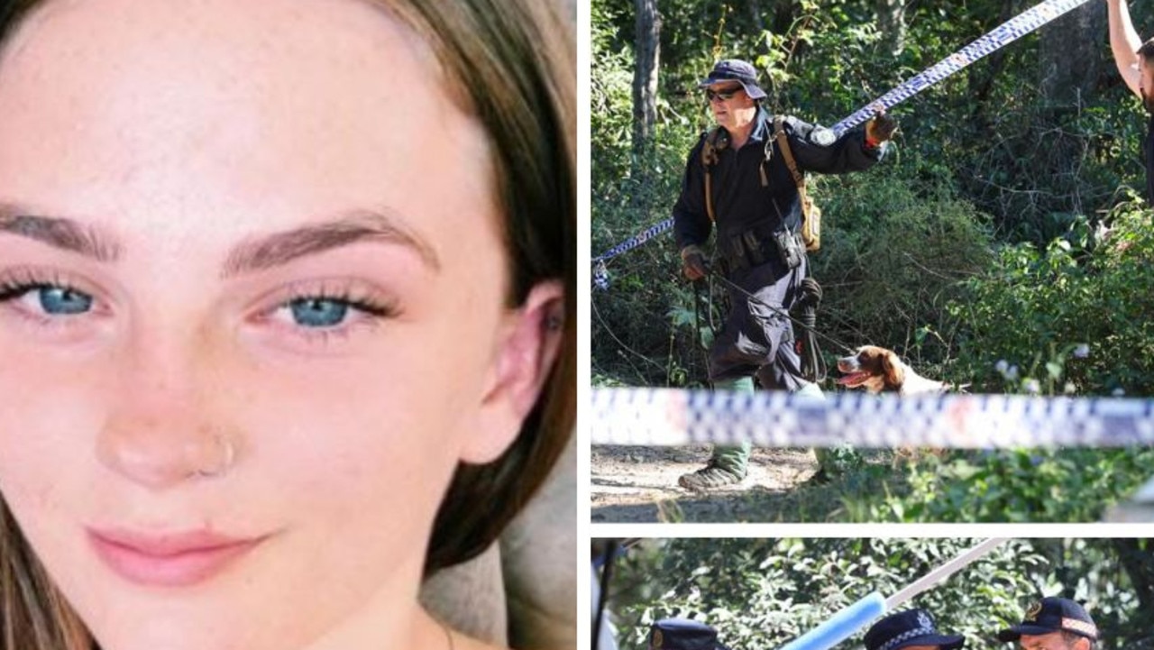 Police dogs join search for missing teen