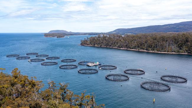 Tassal salmon pens at Long Bay.