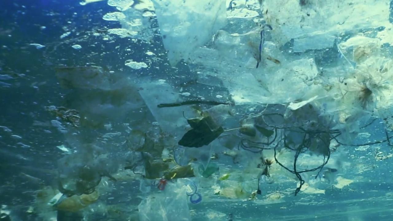 “The amount of plastic in our oceans is predicted to outweigh the amount of fish by 2050,” Environment Minister James Griffin said.