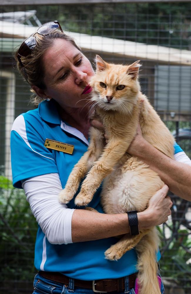 Penny Brischke and senior cat Spike, who was rescued and rehomed. Picture: contributed