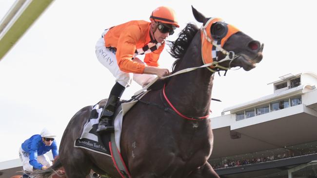 David Payne believes he can win the Victoria Derby with Ace High. Picture: Getty Images