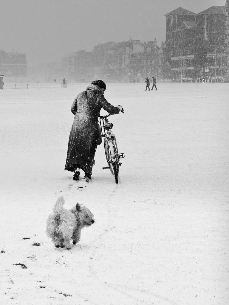 The Landscape Photographer of the Year. Fred ‘n’ Sue — Brighton, East Sussex, England by Jo Teasdale (lives Brighton) — Winner, Living the view 2014 ‘This image was captured during a blizzard on the Hove Lawns seafront in Brighton. Sue had to walk for miles with her bike, snow encrusted upon her back and her fingers frozen to the bone. Meanwhile her dog Fred ran alongside enjoying the snow. Sue just wanted to get back to the warmth of her home but Fred had other ideas ... all he was interested in was having a social with his friends on the lawns. Home wasn’t on his agenda.’ <a href="http://www.take-a-view.co.uk/" target="_blank">Find out more here. </a>