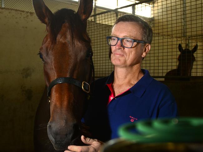 Racehorse trainer David Vandyke has mosquito coils burning in his stables to ward off the spread of  Ross River virus which has afflicted some of his stock.