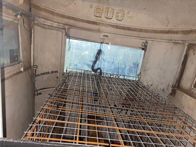 The meshed trap used to capture Nala.