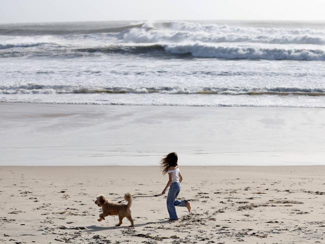 Early morning walkers watch the swell at Palm Beach as Cylone Alfred sits off the coast. Pics Adam Head