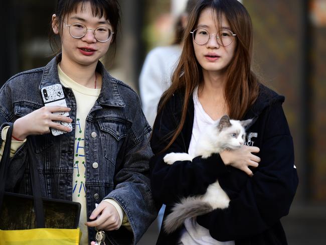 A resident with her cat outside the Mascot Towers building on Saturday. Picture: AAP/Bianca De Marchi