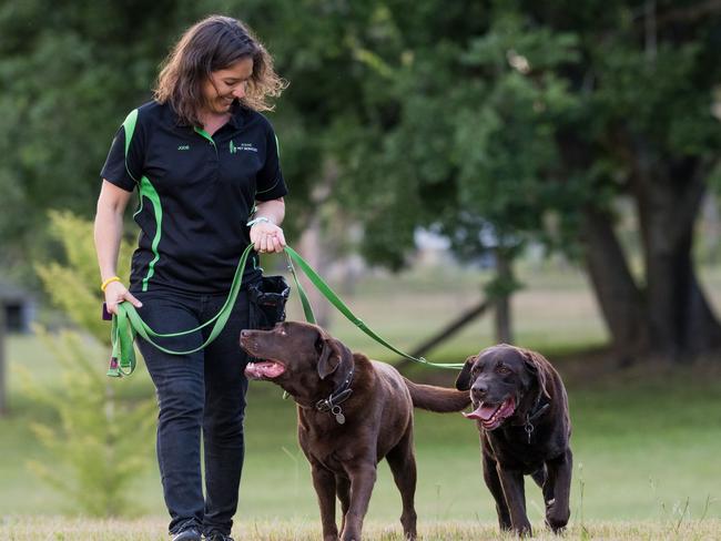 Jodie Westfield, Dog Behaviour Consultant with InSync Pet Services. Pictured with her Labradors Darcy and TJ. Picture: Ali Rogers/Raw Seed Photography,