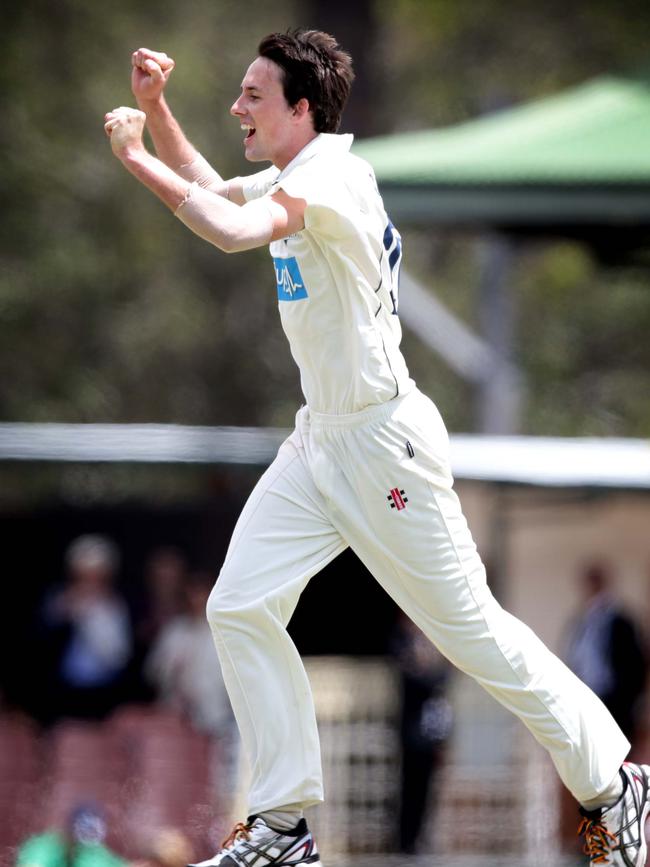 Louis Cameron celebrates the wicket of Nic Maddinson on his Victorian debut. Picture: Gregg Porteous 