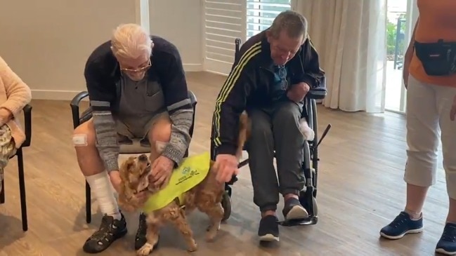 Sunni the spaniel visits Mackay aged care residents