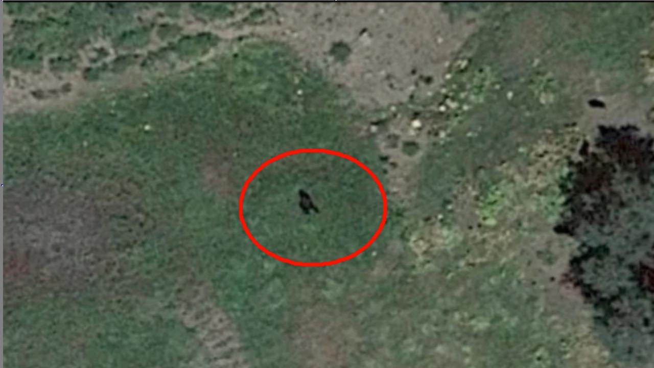 Google Earth satellite images show mystery figure