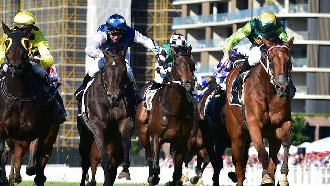 There is a push to have 20 starters in the Stradbroke Handicap next year. Picture: Grant Peters / Trackside Photography
