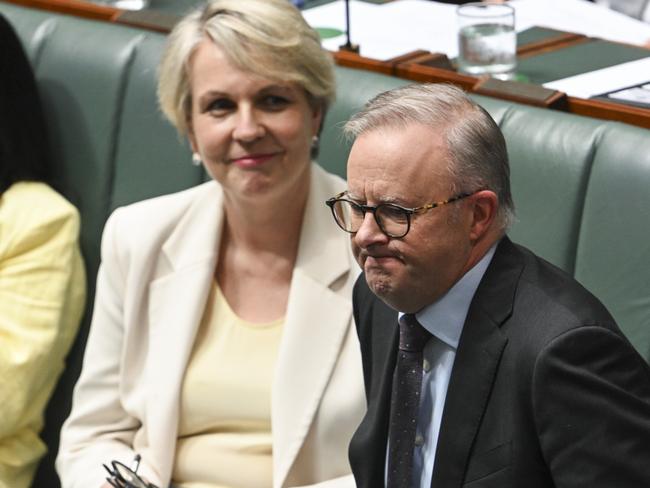 Tanya Plibersek and Anthony Albanese. Picture: Martin Ollman