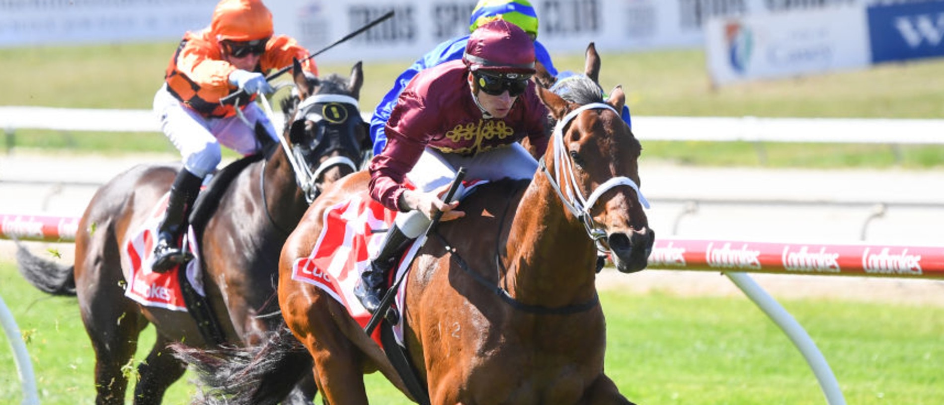 Climbing Star (NZ) ridden by Zac Spain wins the AFC - Peter & Lavella Darose Maiden Plate at Cranbourne Racecourse on September 28, 2022 in Cranbourne, Australia. (Photo by Pat Scala/Racing Photos via Getty Images)