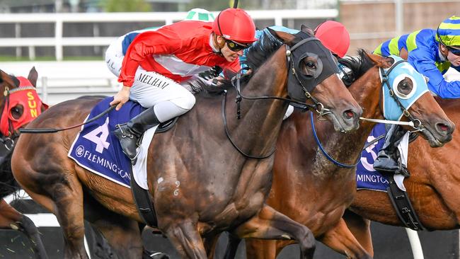 Sacramento showed his staying talent with victory in the VRC St Leger at Flemington. Picture: AAP