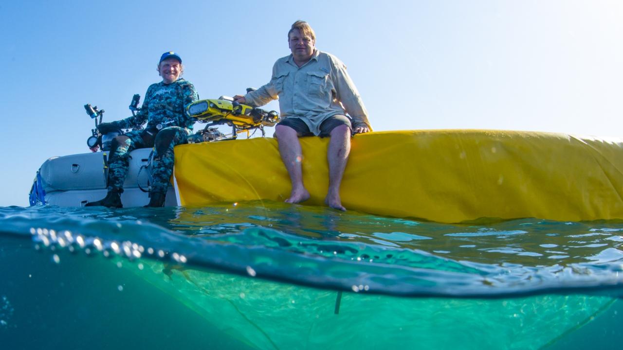 Great Barrier Reef: ‘Coral IVF’ successfully plants millions of baby ...