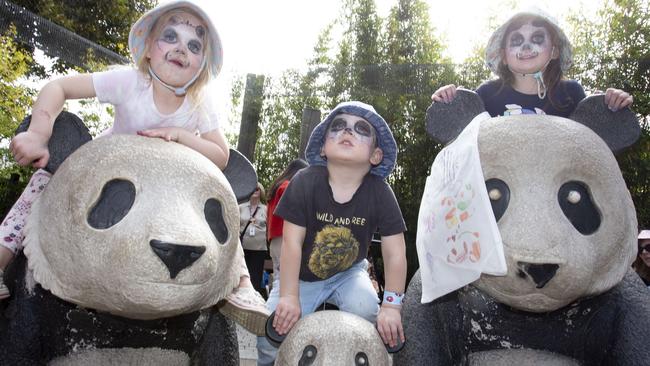 Teddy Bears Picnic at The Adelaide Zoo Picture: Brett Hartwig