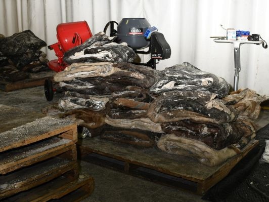 Mexican national jailed for 22 years for his role in an elaborate attempt to import more than 600kgs of methamphetamine concealed in rotting, raw cow hides.