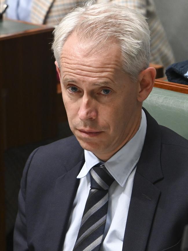 Minister for Immigration, Citizenship, Migrant Services and Multicultural Affairs Andrew Giles. Picture: NewsWire / Martin Ollman