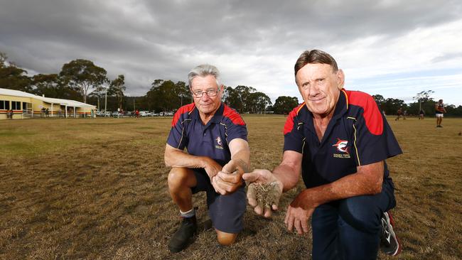 President David Bellars and committee member Phil Hammer inspect the dry ground. Picture: MATT THOMPSON