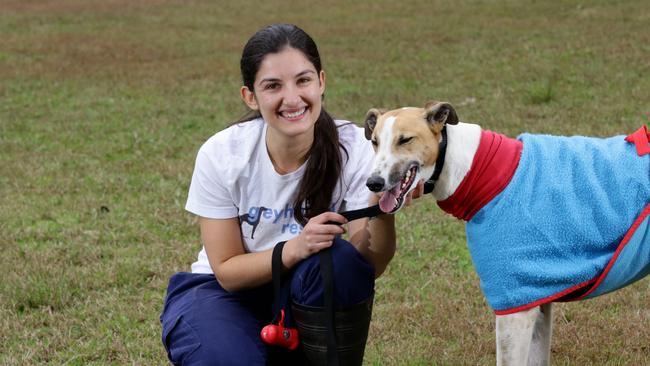 The Greyhound rescue centre at Rouse Hill are being swamped by requests after the proposed ban on racing.