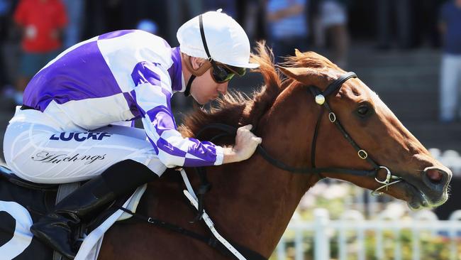 Rory Hutchings could find his way into the winners’ circle at Muswellbrook. Picture: Getty Images