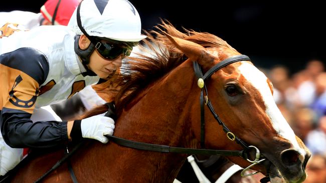 Don’t underestimate: Sebrina wins on Melbourne Cup Day at Royal Randwick. Picture: Mark Evans