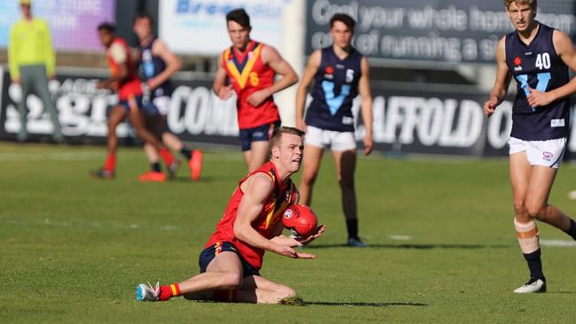 Sturt’s Josh Shute takes a mark for South Australia at the 2019 Under-18 national carnival. Picture: Deb Curtis