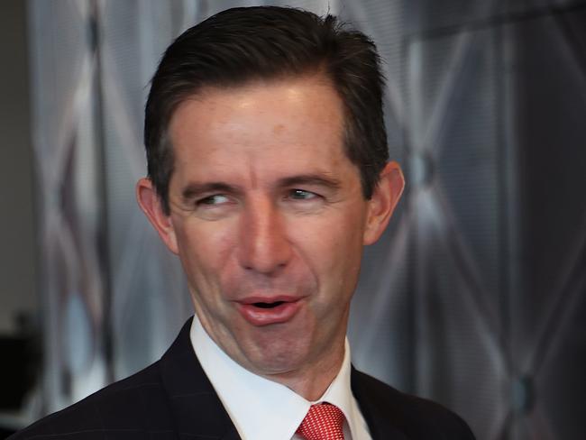 Finance minister Simon Birmingham. Picture: NCA NewsWire / David Mariuz