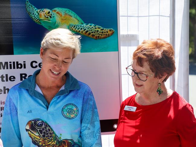 New turtle rehabilitation centre to open in Hervey Bay