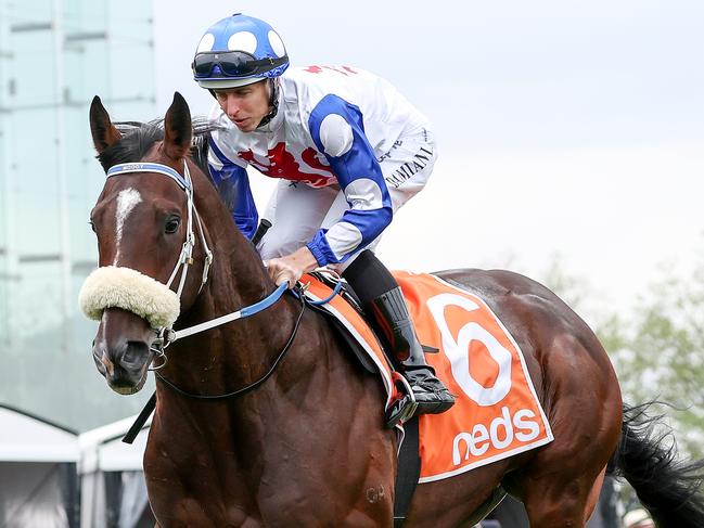 Gates on the way to the barriers prior to the running of Neds Classic at Caulfield Racecourse on October 21, 2023 in Caulfield, Australia. (Photo by George Sal/Racing Photos)