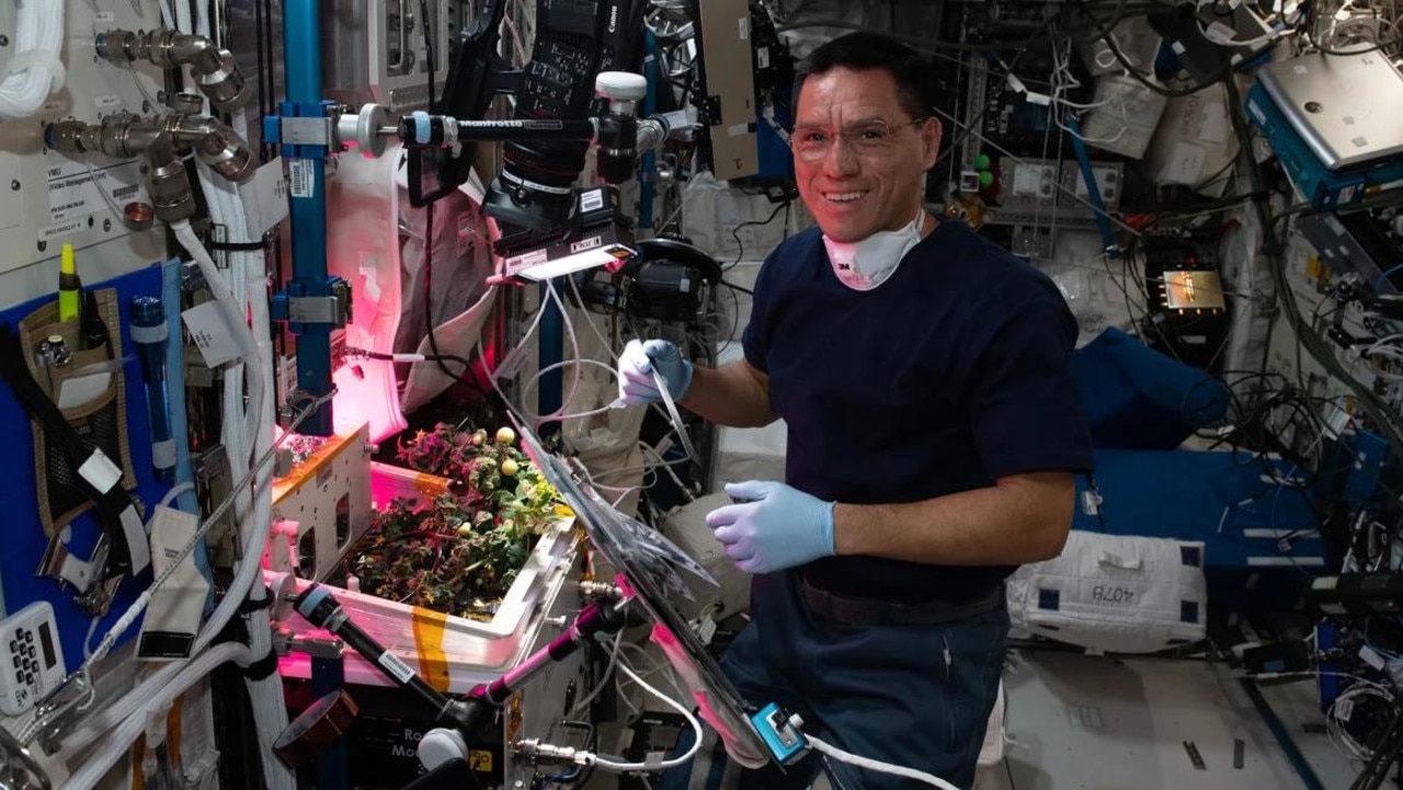 Frank Rubio working on growing vegetation to eat in space. Astronauts typically only live off of pre-packaged goods. Picture: Koichi Wakata/Japan Aerospace Exploration Agency/NASA