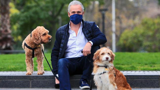 Telstra CEO Andy Penn out in Prahran walking his dogs Mr Bennett and Wolsely. Picture: Aaron Francis