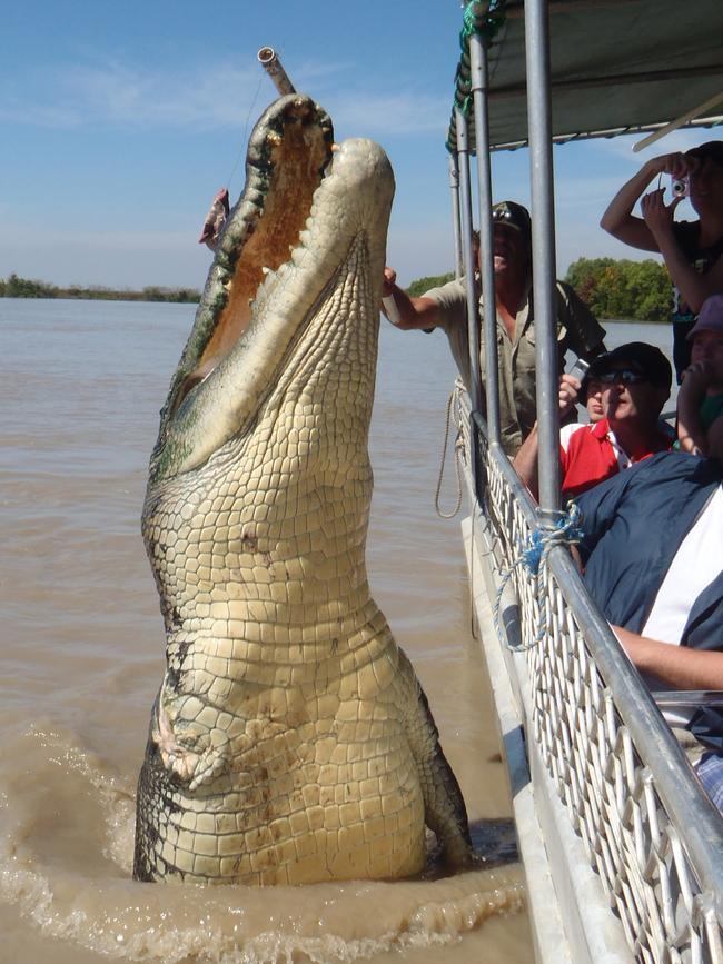 The NT News’ world famous front page photo of monster crocodile Brutus taken by Katrina Bridgeford on the Adelaide River in 2011.