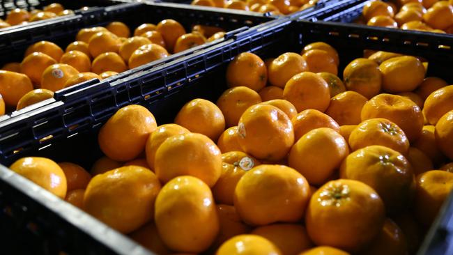 Costa Group says a deteriorating outlook for citrus fruit quality and volumes this year is likely to result in a $30m hit to full-year earnings.