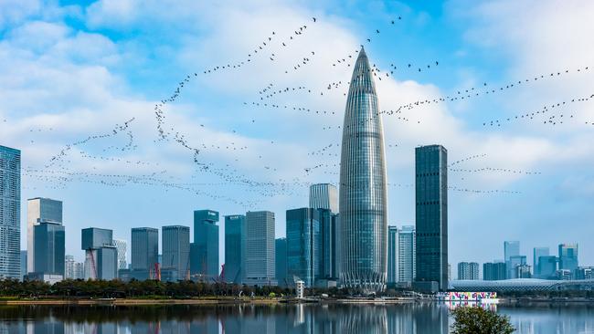 Xiaoke Wang, of China, captured great cormorants over Shenzhen, which is a wintering ground for over migratory birds. The picture took out silver in the Urban Birds category. Picture: Xiaoke Wang / Bird Photographer of the Year