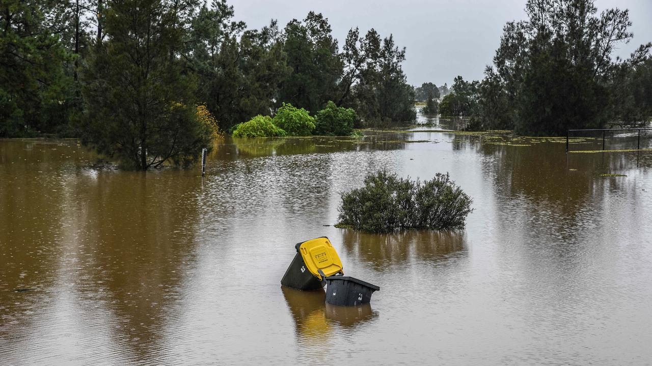 Bins float in floodwaters at Pitt Town, McGraths Hill. Picture: NCA NewsWire/Flavio Brancaleone