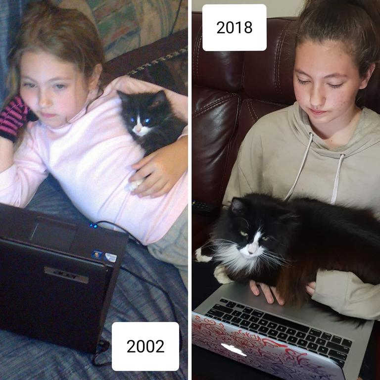 92. From keeping her company watching a movie or to give a helping paw with her homework; Scamps cat has and is always there for my daughter … as long as a warm laptop involved;)