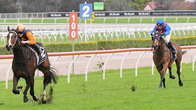 Race 5 — 1:50PM HEARD AGENCY HANDICAP (2000 METRES). Winner ' Nettoyer' ridden by Rachel King. Owner, John Crowley.