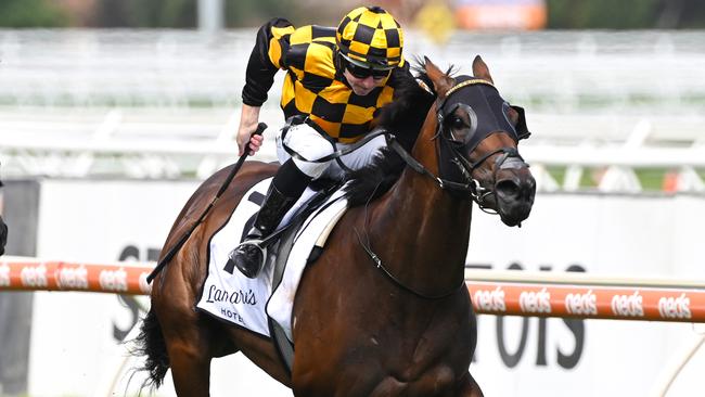 Probabeel will be better suited at Caulfield when she goes up against Zaaki again. Picture: Getty Images