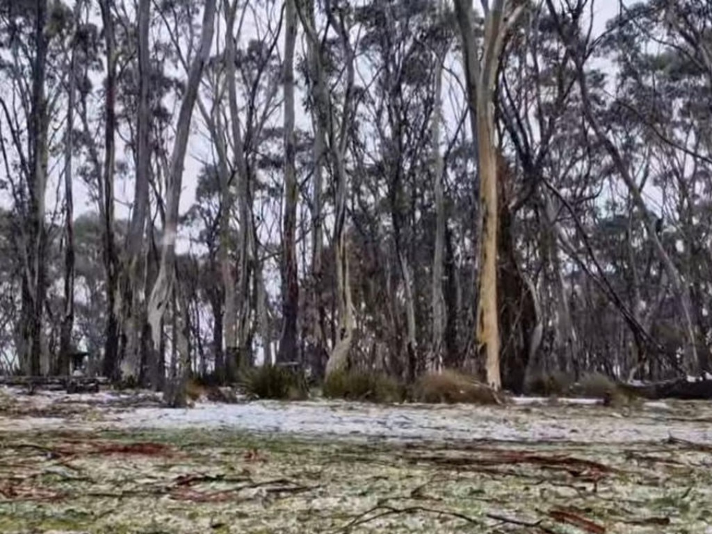 Snowfall in Jenolan in NSW’s central west region on Thursday. Picture: Facebook/Jenolan Cabins