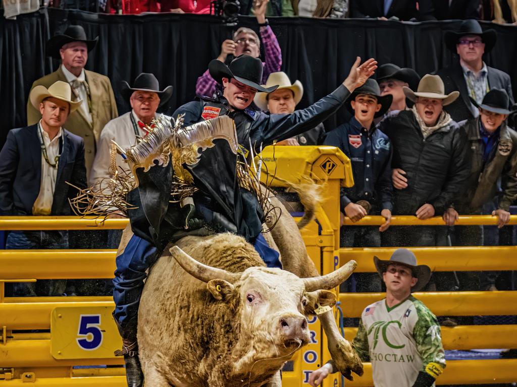 Mackay's Ky Hamilton in his element in the NFR Bull Riding. Picture: Michael Magill