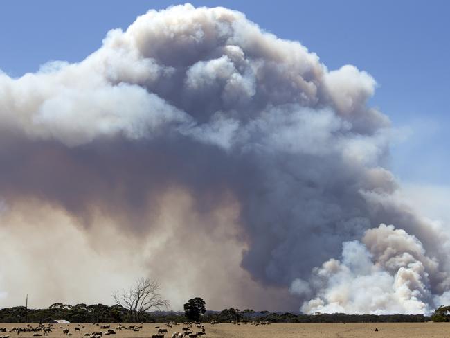 Plumes of smoke on Kangaroo Island. Picture: AAP/Emma Brasier