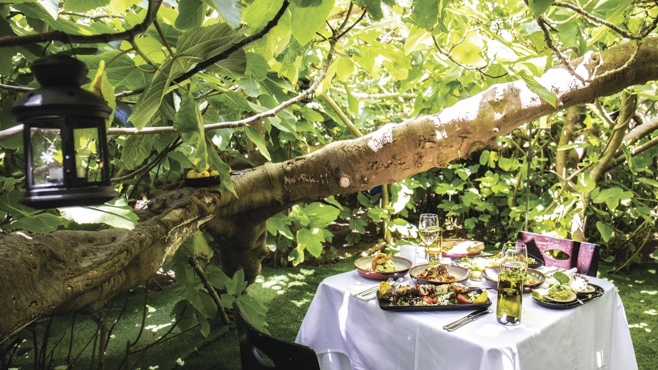 Lunch at the Enchanted Fig Tree in Snellings Beach, Kangaroo Island. Picture: SATC