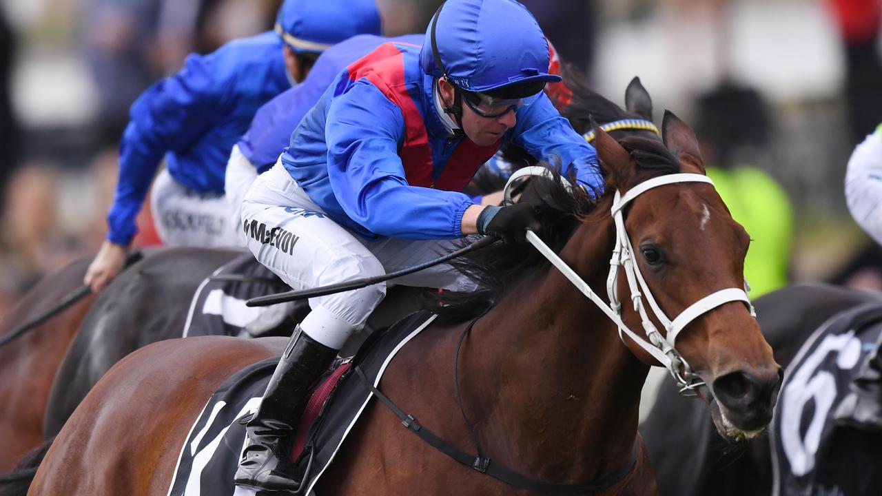 Rosehill big bets, quaddie; TAB market movers; Bookies’ best bets ...