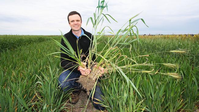Dr James Hunt is the co-ordinator of La Trobe’s Bachelor of Agricultural Sciences degree. Picture: Lauren Celenza