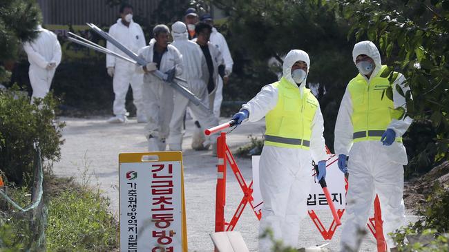 Quarantine officials at pig farm with confirmed African swine fever in South Korea last month. Picture: AP