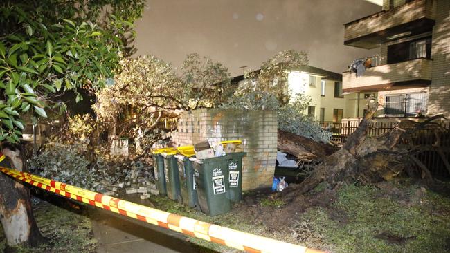 Wild wind ripped a tree from the ground and it fell on a car in the driveway of a unit complex in Cabramatta. Picture: Steve Tyson