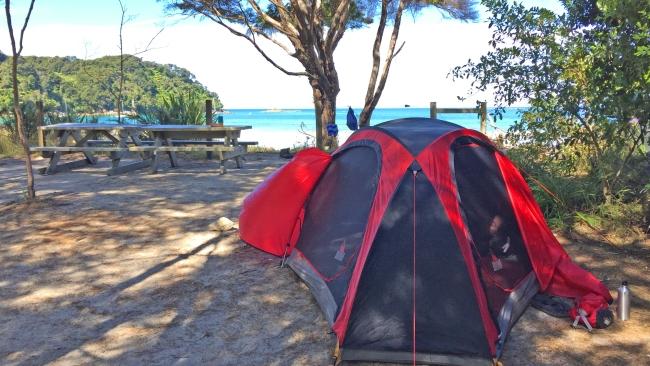 Chris and Elena's tent at Bark Bay on the Abel Tasman Coastal Track.